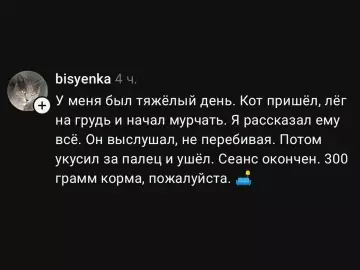 Смешная картинка №822113 Ну а что, специалист Коты