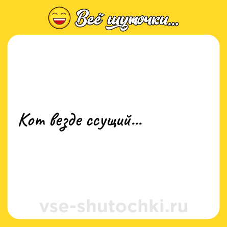 Шутка: Кот везде ссущий...