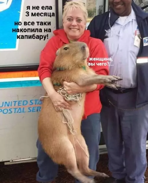 Смешная картинка №716562