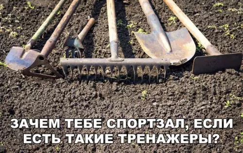 Смешная картинка №271101