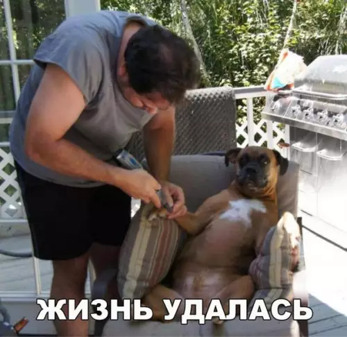Смешная картинка №239327