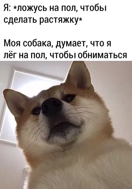 Смешная картинка №480386