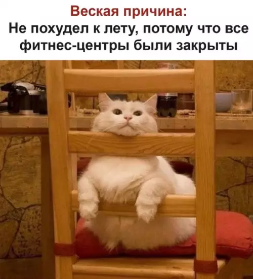 Смешная картинка №491113 Зачем худеть, если летом все будем сидеть дома?