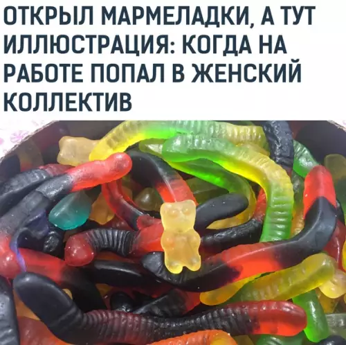 Смешная картинка №549673 Oн в опасности женский коллектив