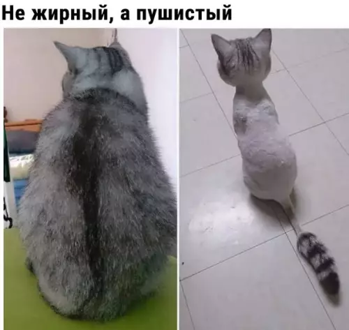 Смешная картинка №212711