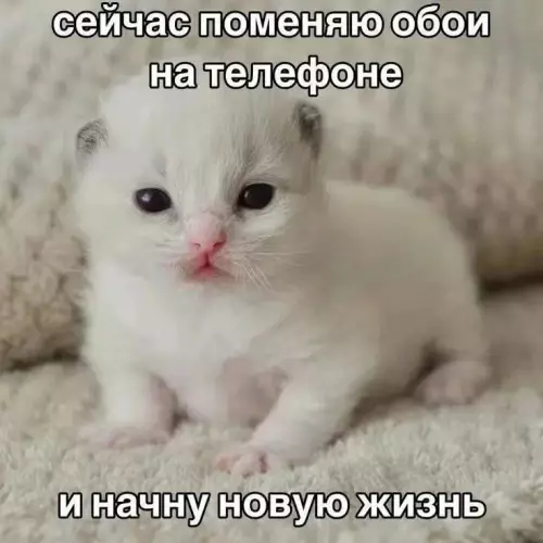 Смешная картинка №780924