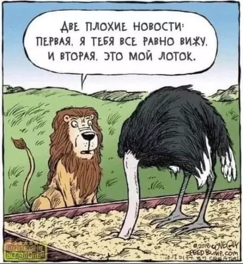 Смешная картинка №738319
