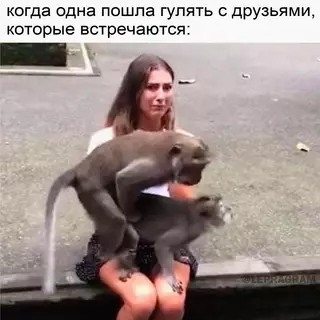 Смешная картинка №685941