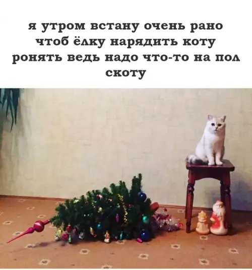 Смешная картинка №434956