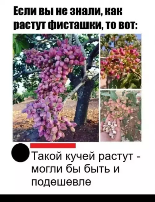 Смешная картинка №699198