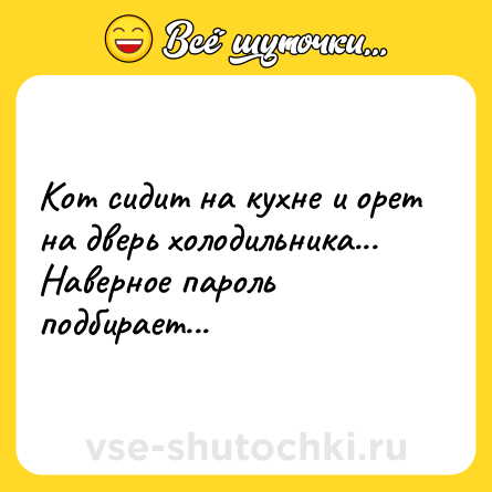 Шутка: Кот сидит на кухне и орет на дверь холодильника... Наверное пароль подбирает...