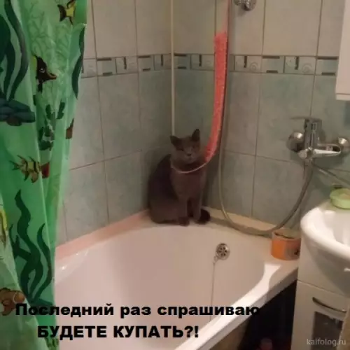 Смешная картинка №277496