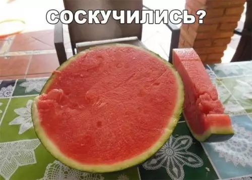 Смешная картинка №254245