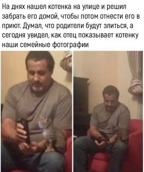 Смешная картинка №447671 Минутка милоты