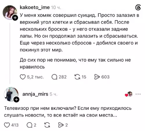 Хомяк против системы 🐹💀 - У меня хомяк совершил суицид. Просто залазил в верхний угол