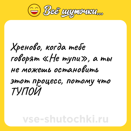 Шутка: Хреново, когда тебе говорят «Не тупи», а ты не можешь остановить этот процесс, потому что ТУПОЙ