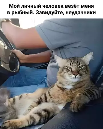 Смешная картинка №764972
