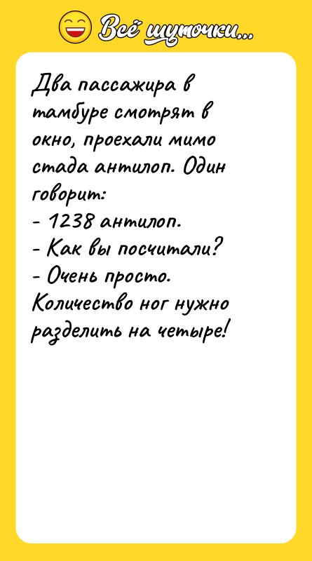 Два пассажира в тамбуре смотрят в окно, проехали мимо стада