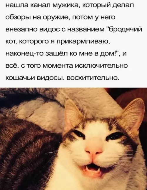 Смешная картинка №796366