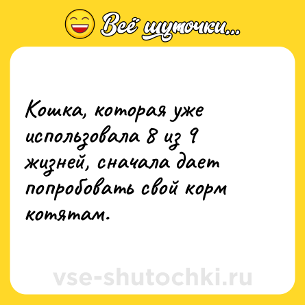 Шутка: Кошка, которая уже использовала 8 из 9 жизней, сначала дает попробовать свой корм котятам.
