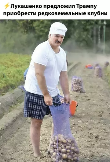 Смешная картинка №752565 Неплохой ход лукашенко