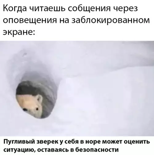 Смешная картинка №491855
