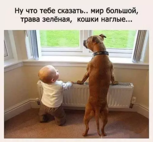 Смешная картинка №197469