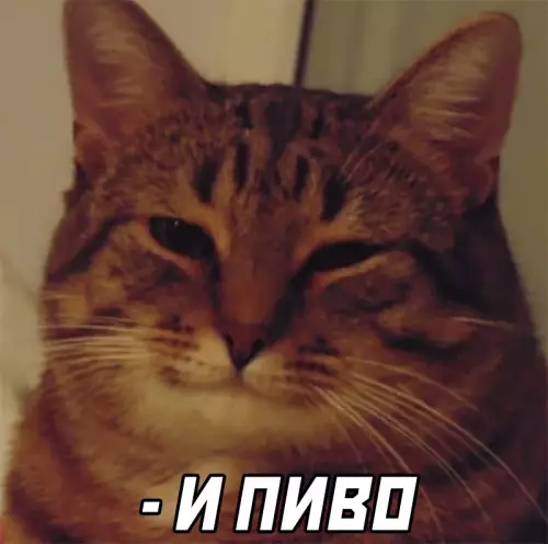 продолжение Смешная картинка №613432 Когда в детстве пришли в ларёк с другом: