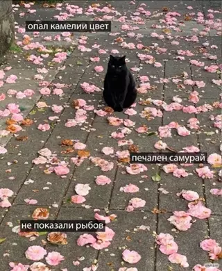 Смешная картинка №641406