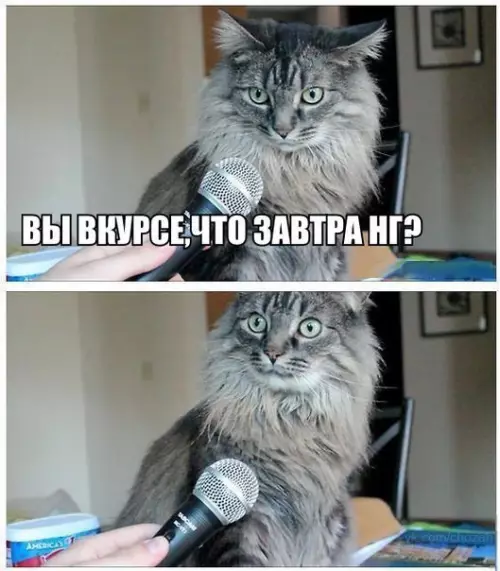 Смешная картинка №235489