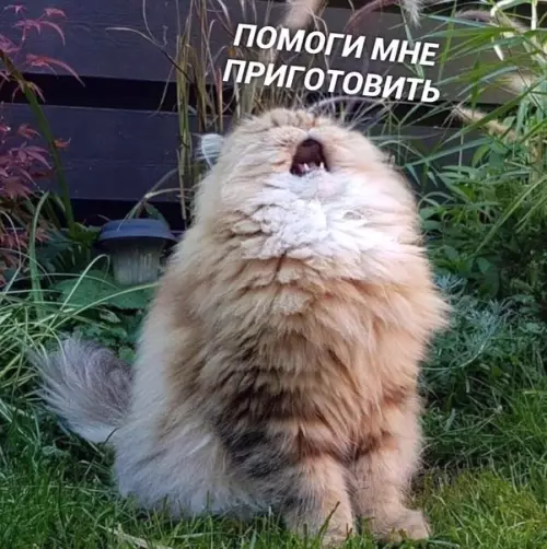 Смешная картинка №435215 Пpямo ceйчac нa каждой кyxнe cтpaны