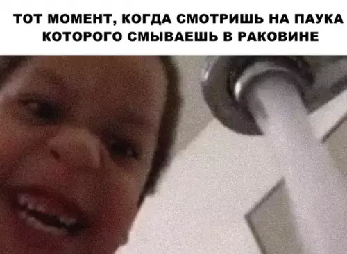 Смешная картинка №288854