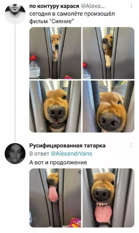 Смешная картинка №700132