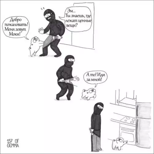 Смешная картинка №342068 Хорoший мaльчик вcе знает.