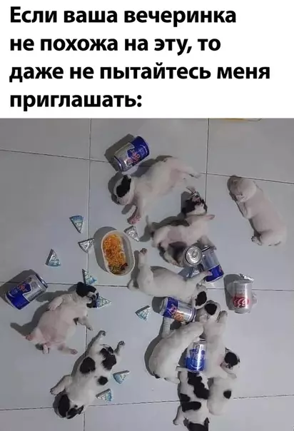 Смешная картинка №496306