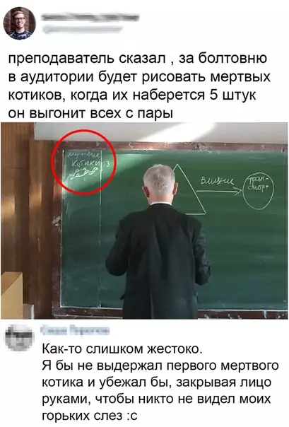 Смешная картинка №479621 Бедные котики!!!