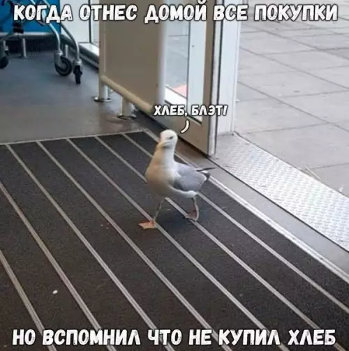 Смешная картинка №213133