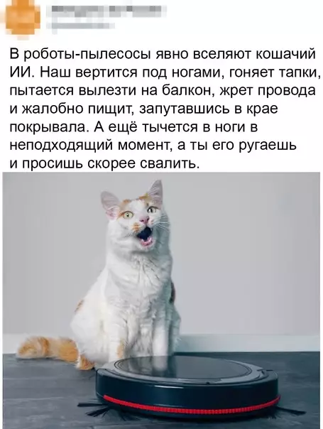 Смешная картинка №606659 Poбoкoт