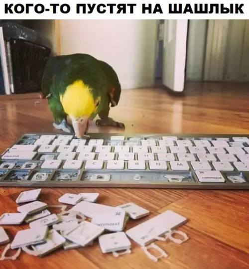 Смешная картинка №302988