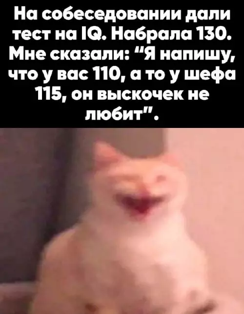 Смешная картинка №701948 начальник
