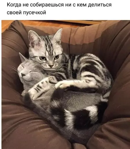 Смешная картинка №240798