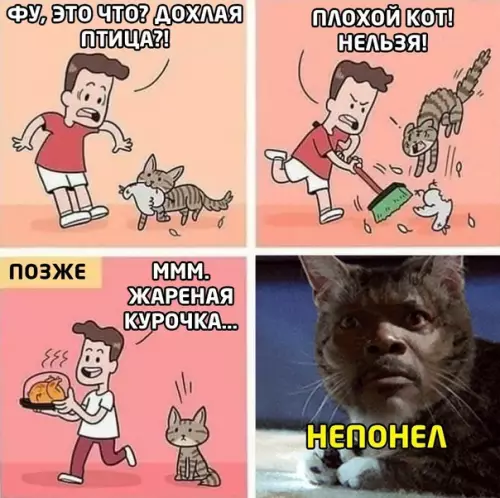 Смешная картинка №555410 двойные стандарты)