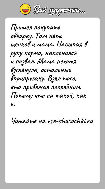 История: Пришел покупать овчарку. Там пять щенков и мама. Насыпал в руку корма, наклонился и позвал. Мама нехотя взглянула, остальные вприпрыжку.