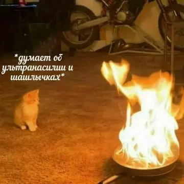 Смешная картинка №812789 шашлыки