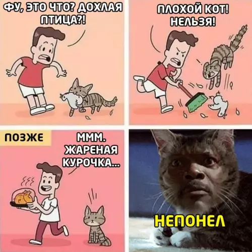 Смешная картинка №510620 двойные стандарты)