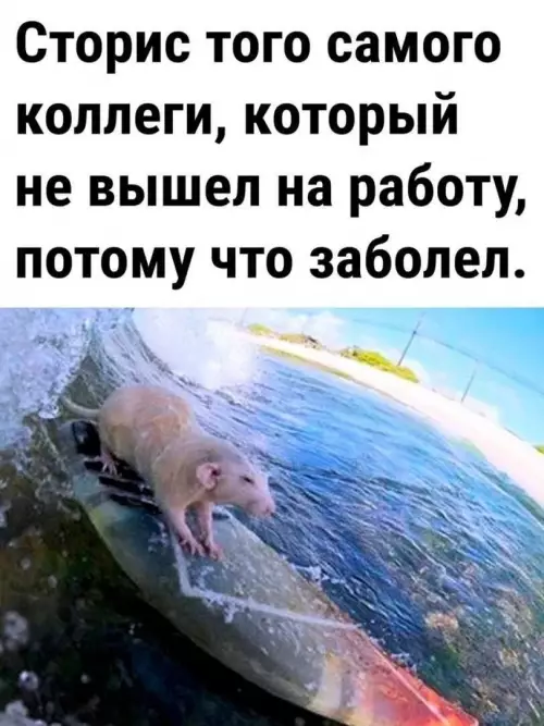 Смешная картинка №778672