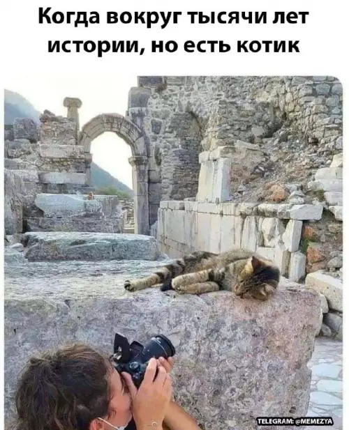 Смешная картинка №662169