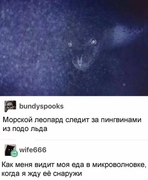Смешная картинка №255685