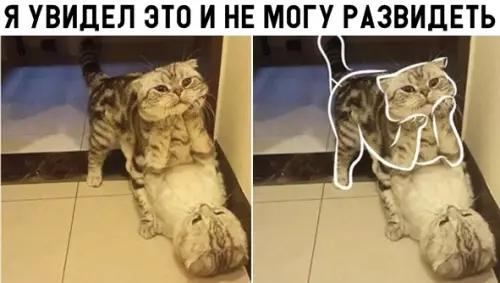 Смешная картинка №304675