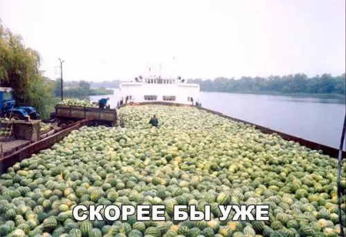 Смешная картинка №185450